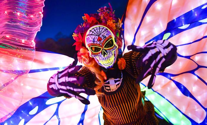 Illuminated costume - Spooks in the City: El Dia de los Muertos